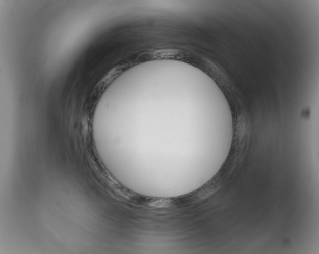 X0000111220761200907021000