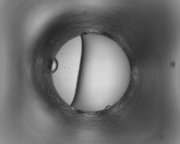 X0000111220763200907021000
