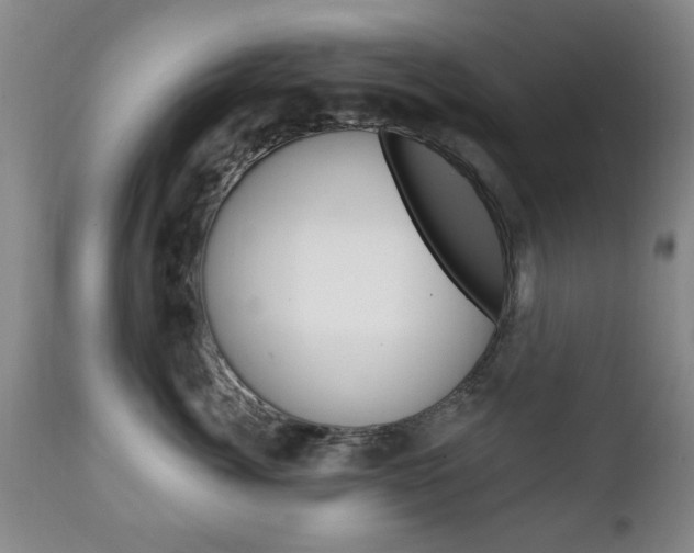 X0000111220764200907021000