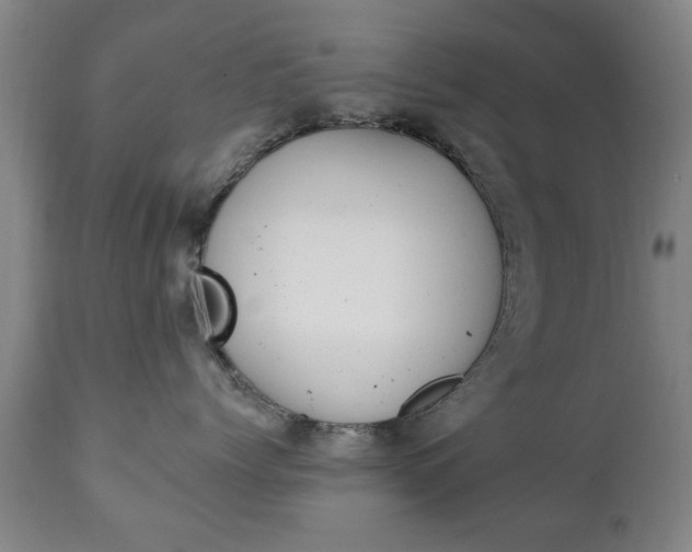 X0000111220768200907021000