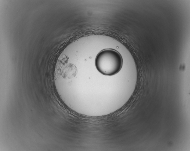 X0000111220769200907020959