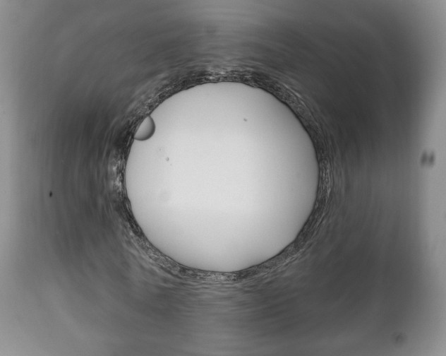 X0000111220770200907020959