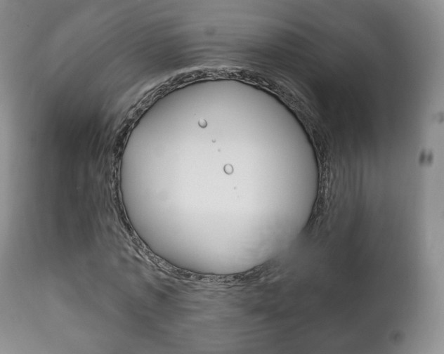 X0000111220773200907020959