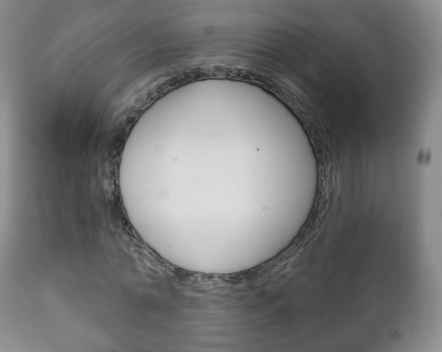 X0000111220774200907020959