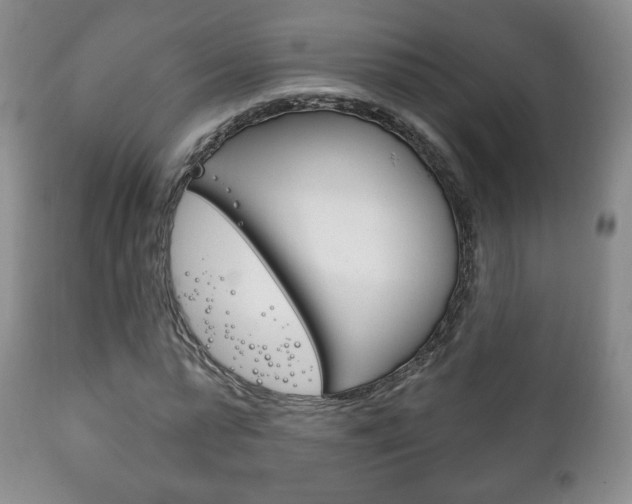 X0000111220775200907020959