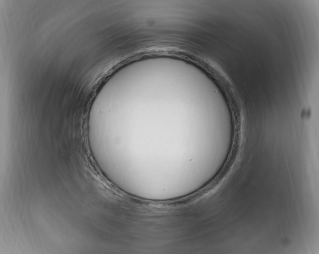 X0000111220777200907020959