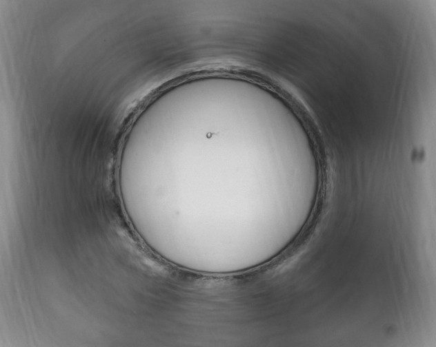 X0000111220778200907020959
