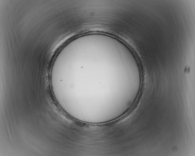 X0000111220782200907020959