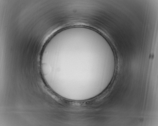 X0000111220790200907020959