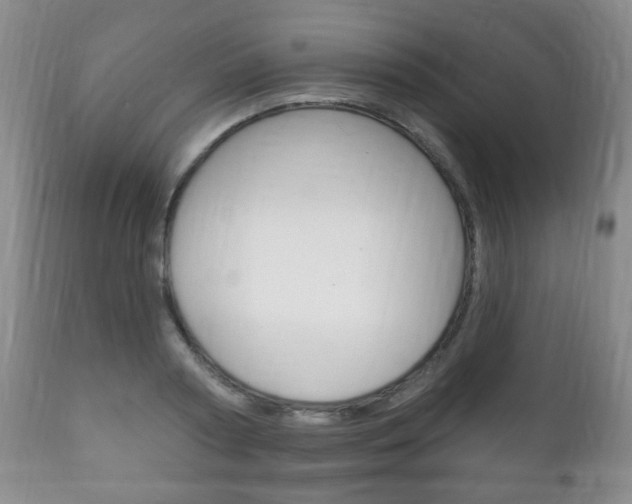 X0000111220794200907020959