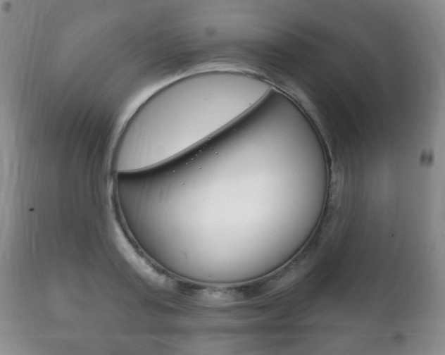 X0000111220795200907020959