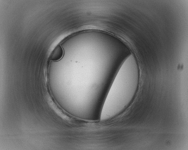 X0000111220796200907020959