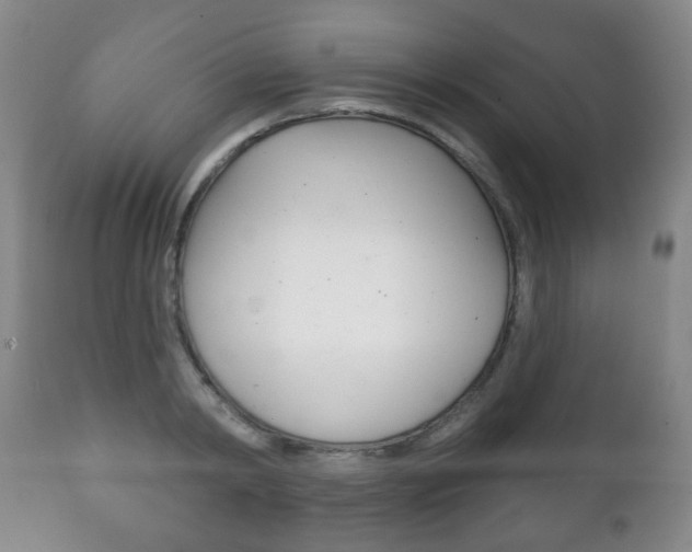 X0000111220798200907020959