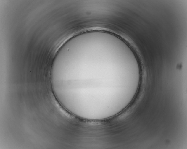 X0000111220801200907020959