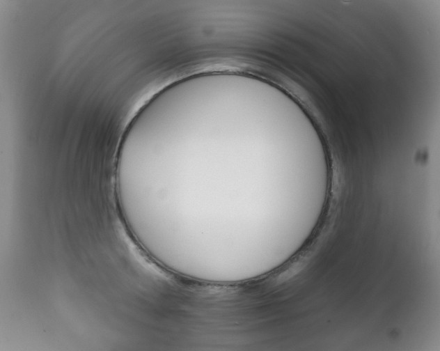 X0000111220802200907020959