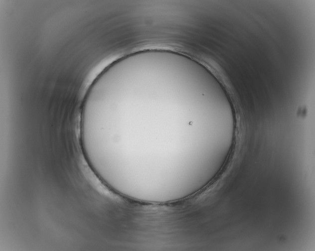 X0000111220804200907020959
