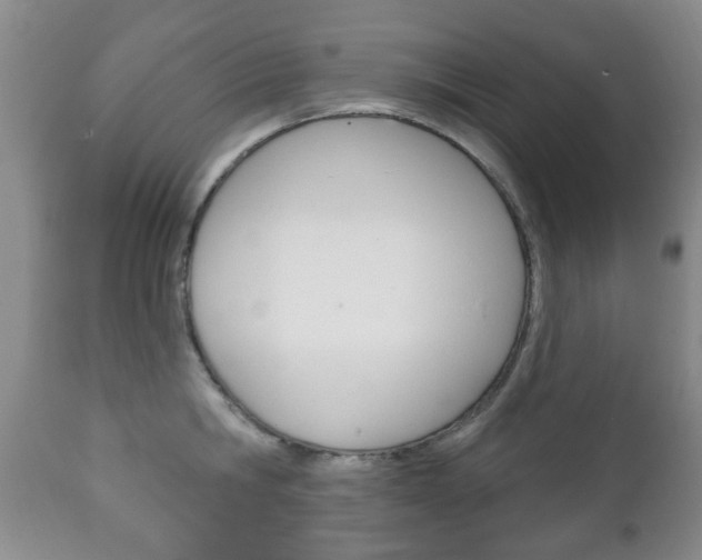 X0000111220806200907020959