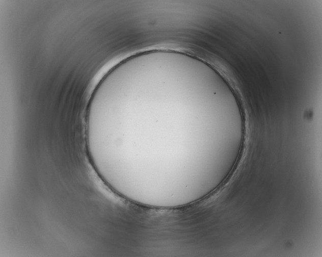 X0000111220808200907020959