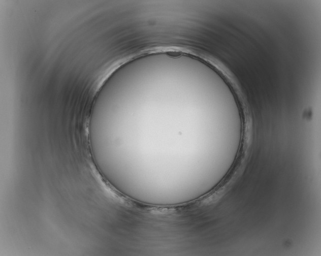 X0000111220809200907020959
