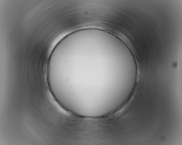X0000111220812200907020959