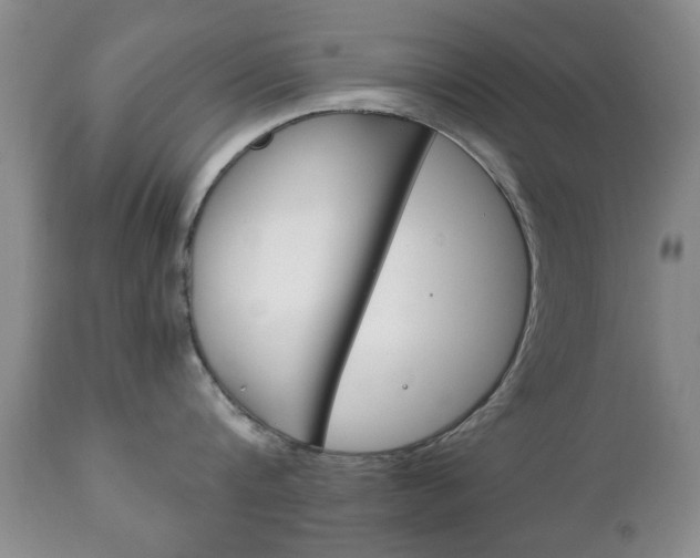 X0000111220816200907020958