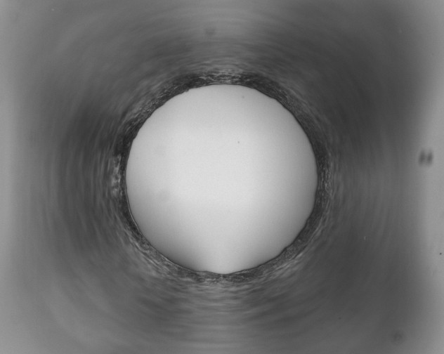 X0000111220818200907020957