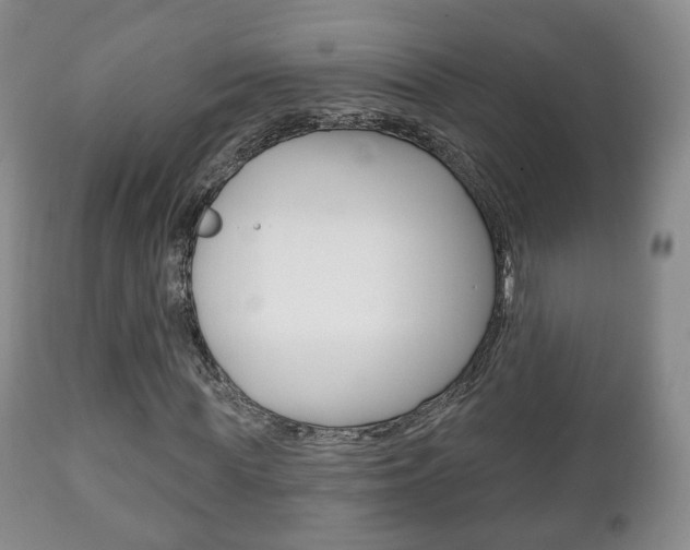 X0000111220819200907020957