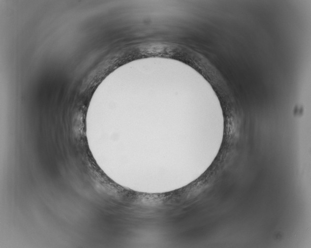 X0000111220820200907020957