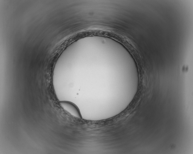 X0000111220821200907020957