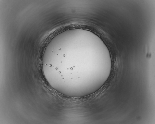 X0000111220822200907020958