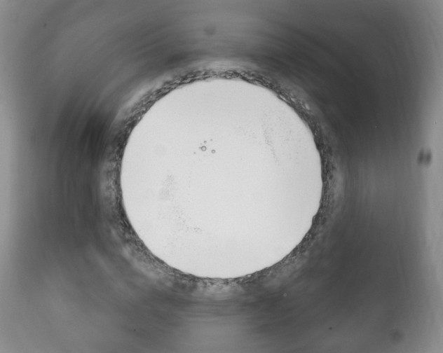 X0000111220824200907020958