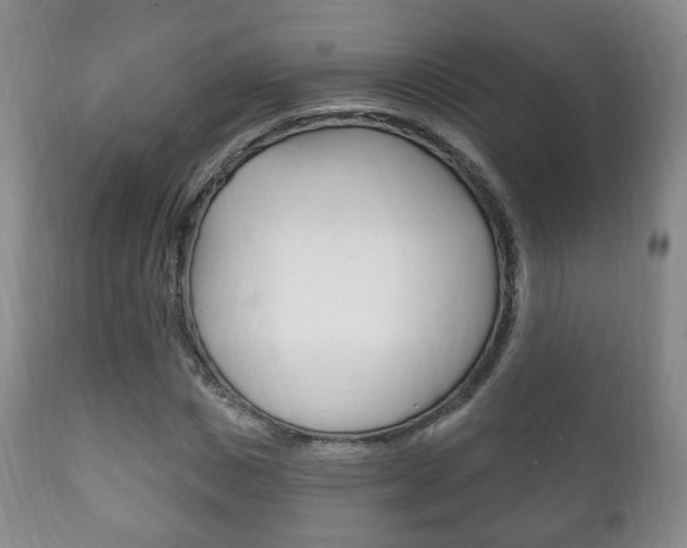 X0000111220825200907020958