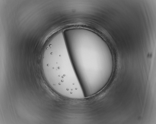 X0000111220826200907020958