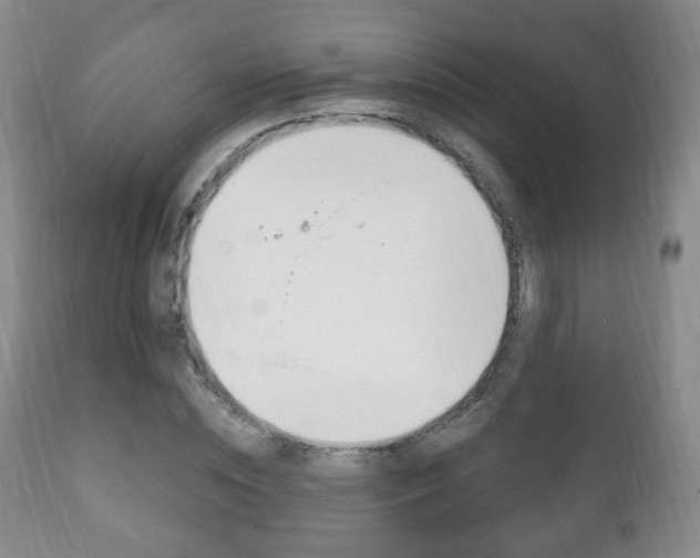 X0000111220828200907020958