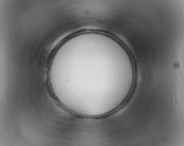 X0000111220829200907020958