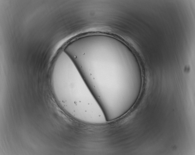 X0000111220830200907020958