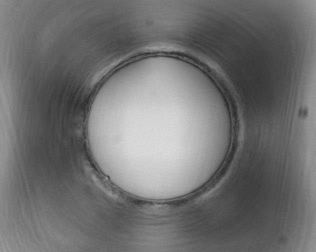 X0000111220833200907020958