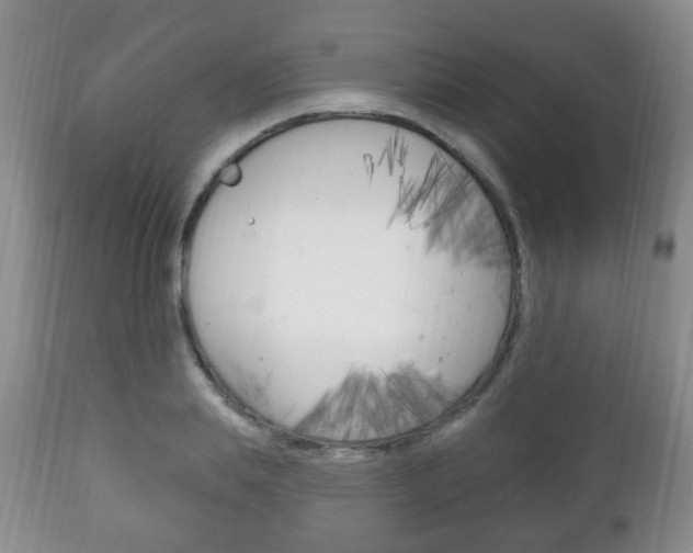 X0000111220839200907020958