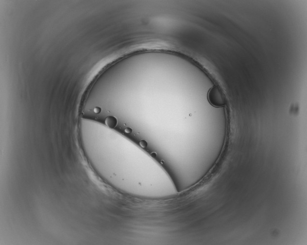 X0000111220845200907020958