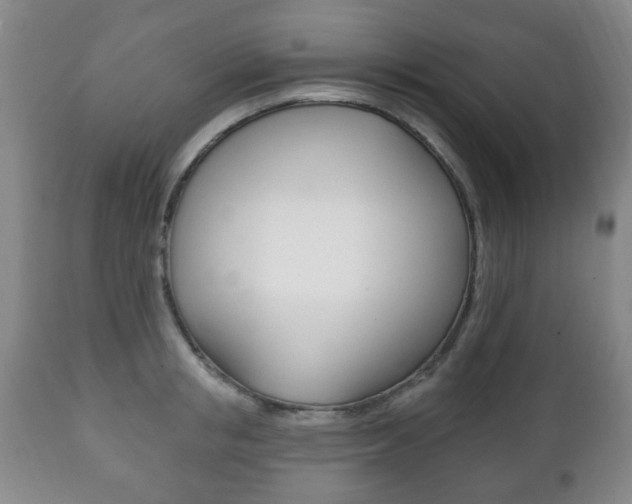 X0000111220853200907020958