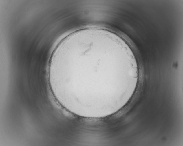 X0000111220856200907020958