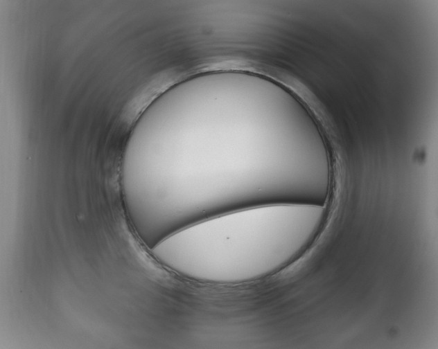 X0000111220857200907020958