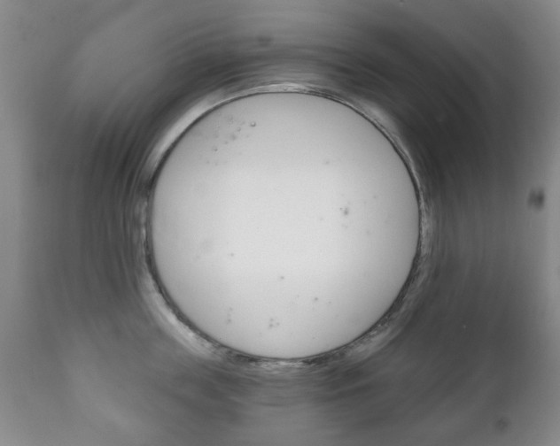 X0000111220859200907020958
