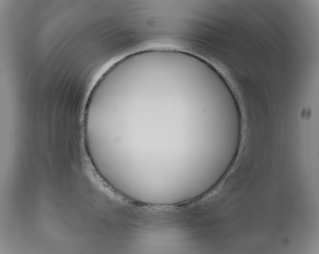 X0000111220864200907020958