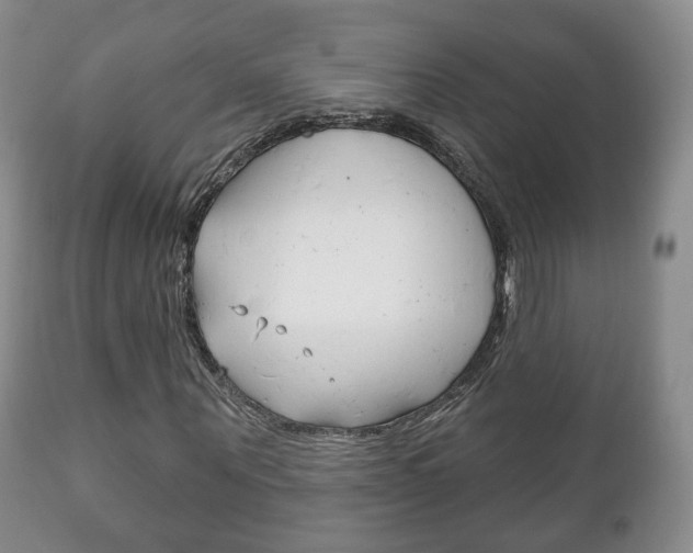 X0000111220867200907020957