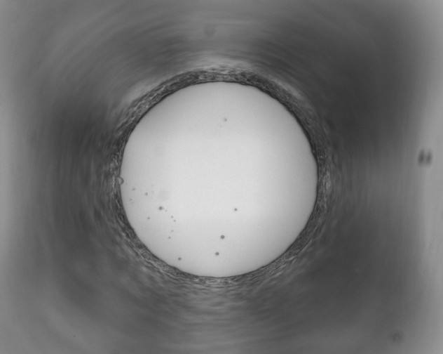 X0000111220869200907020957