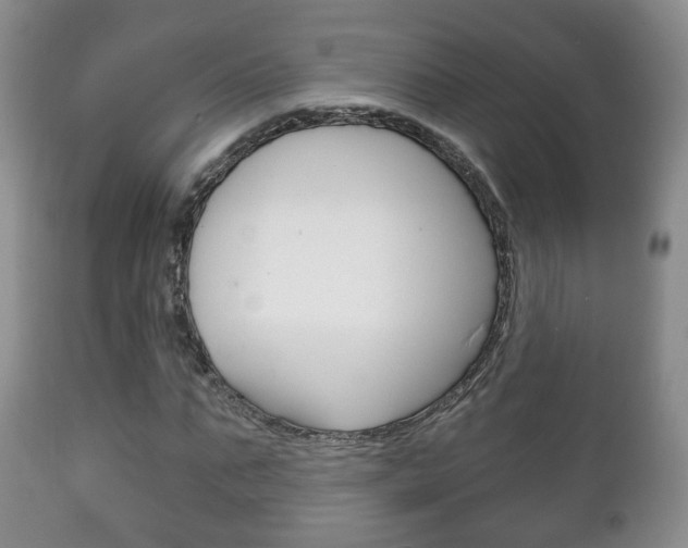 X0000111220871200907020957