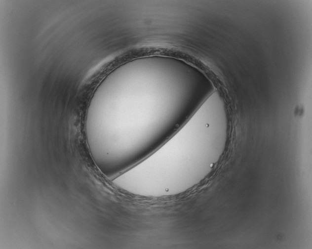 X0000111220872200907020957