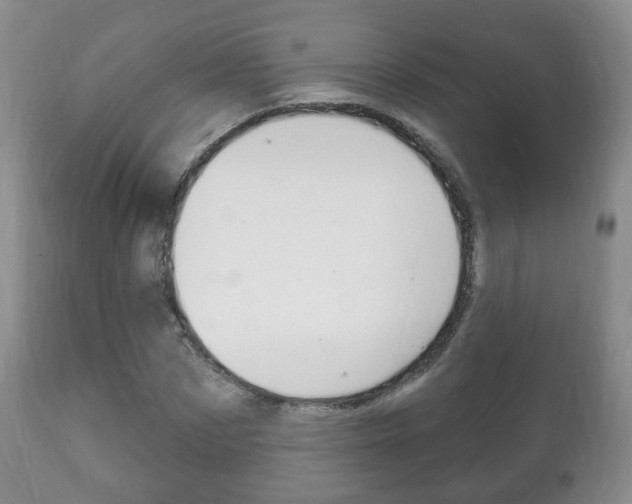 X0000111220873200907020957