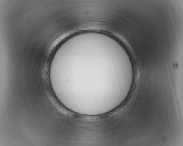 X0000111220874200907020957
